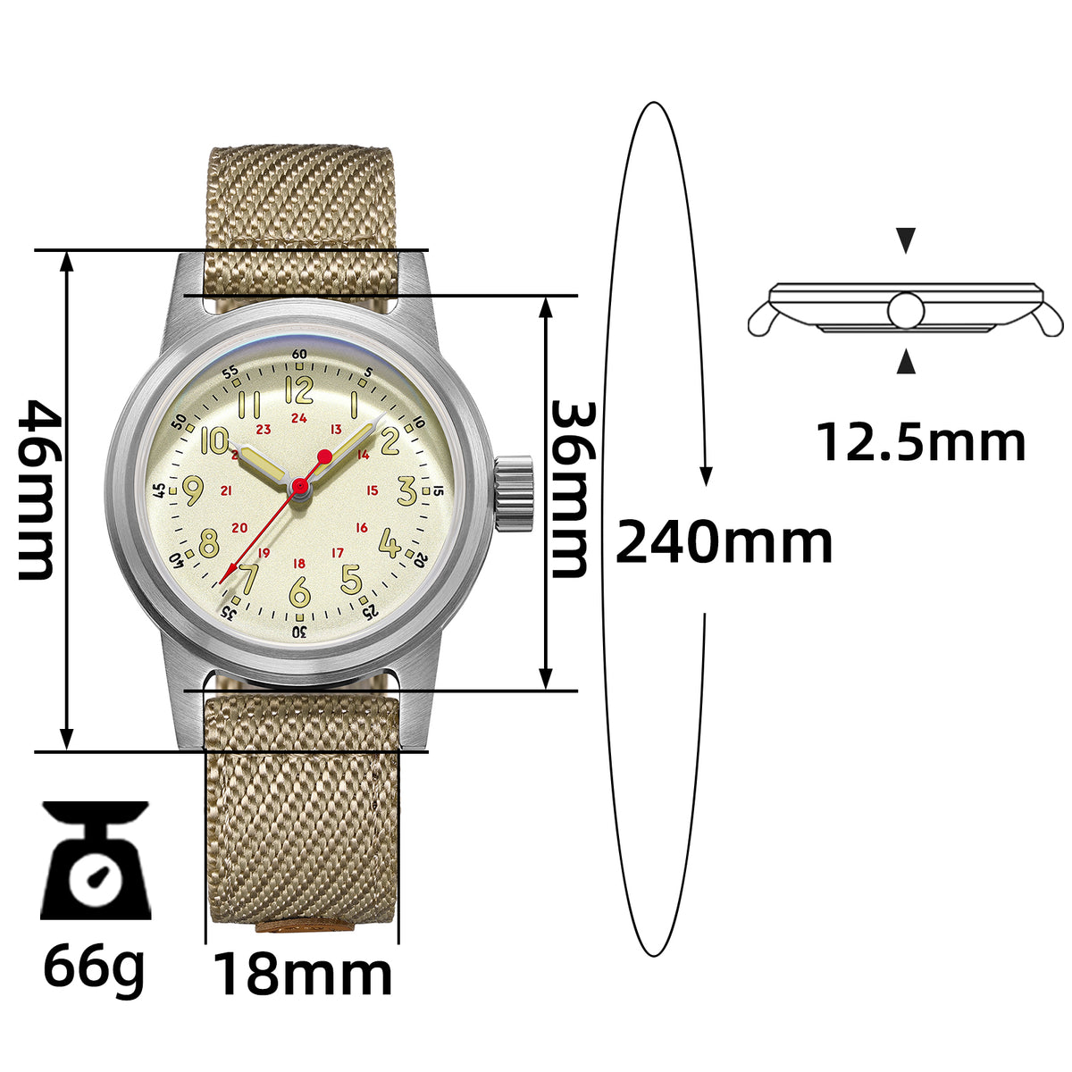 ★Magazzino Italia★ADDIESDIVE Orologio meccanico vintage 36mm AD2076