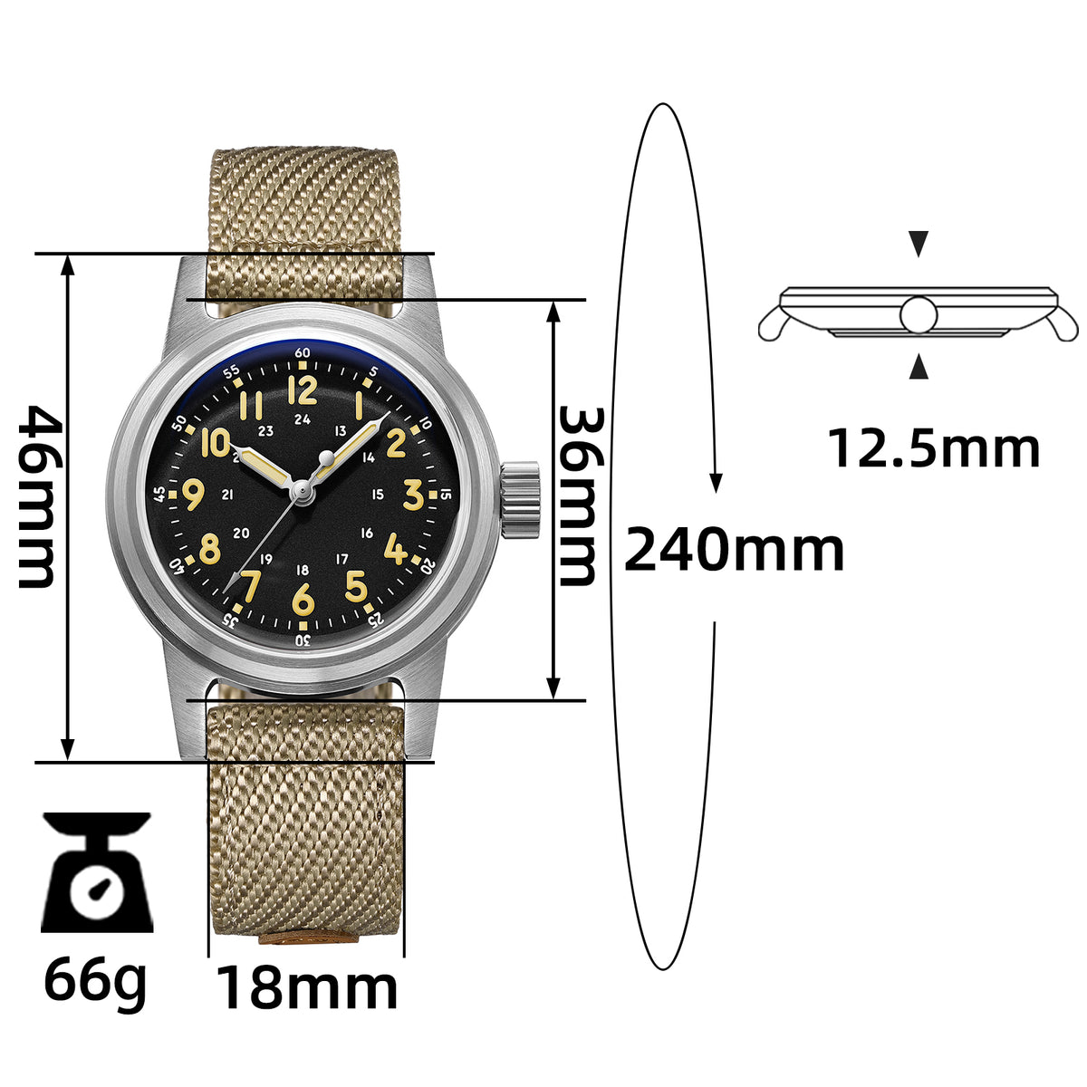 ★Magazzino Italia★ADDIESDIVE Orologio meccanico vintage 36mm AD2076