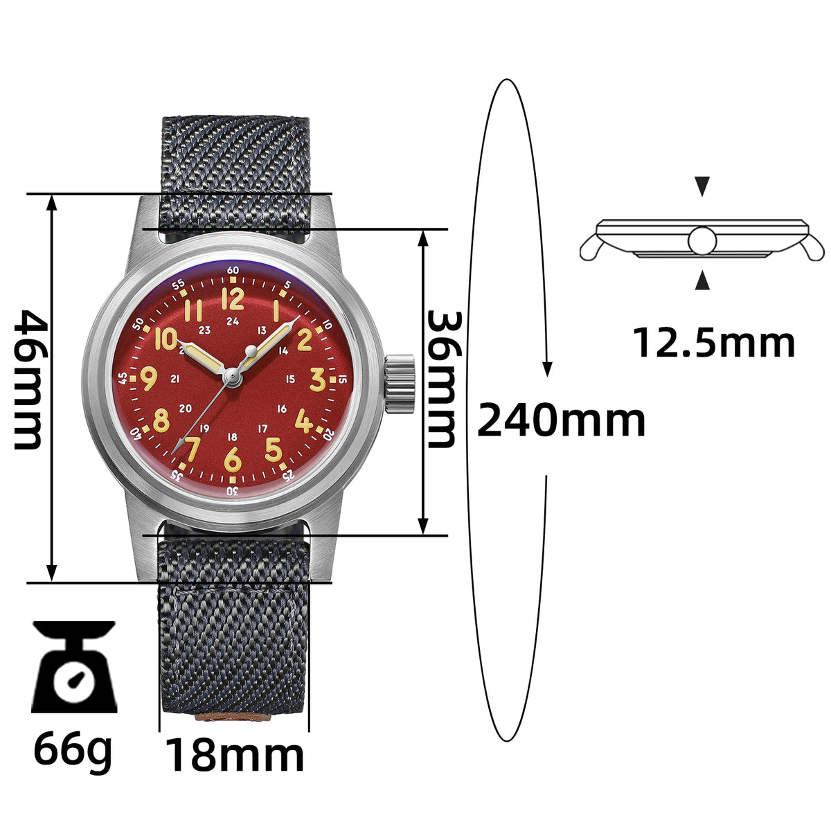 ★Magazzino Italia★ADDIESDIVE Orologio meccanico vintage 36mm AD2076