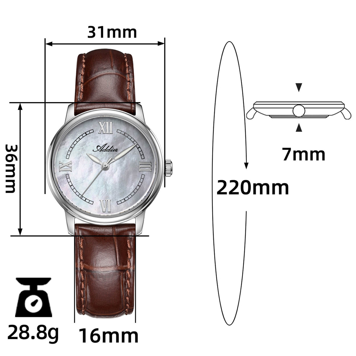 🔥SALDI D'AUTUNNO 🔥 Orologio da Donna di Lusso Addies 31mm in Acciaio Inossidabile al Quarzo AW25906