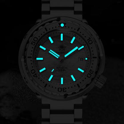 ★Speciale Capodanno★ Orologio automatico Addiesdive con cinturino in acciaio inossidabile, AD2098